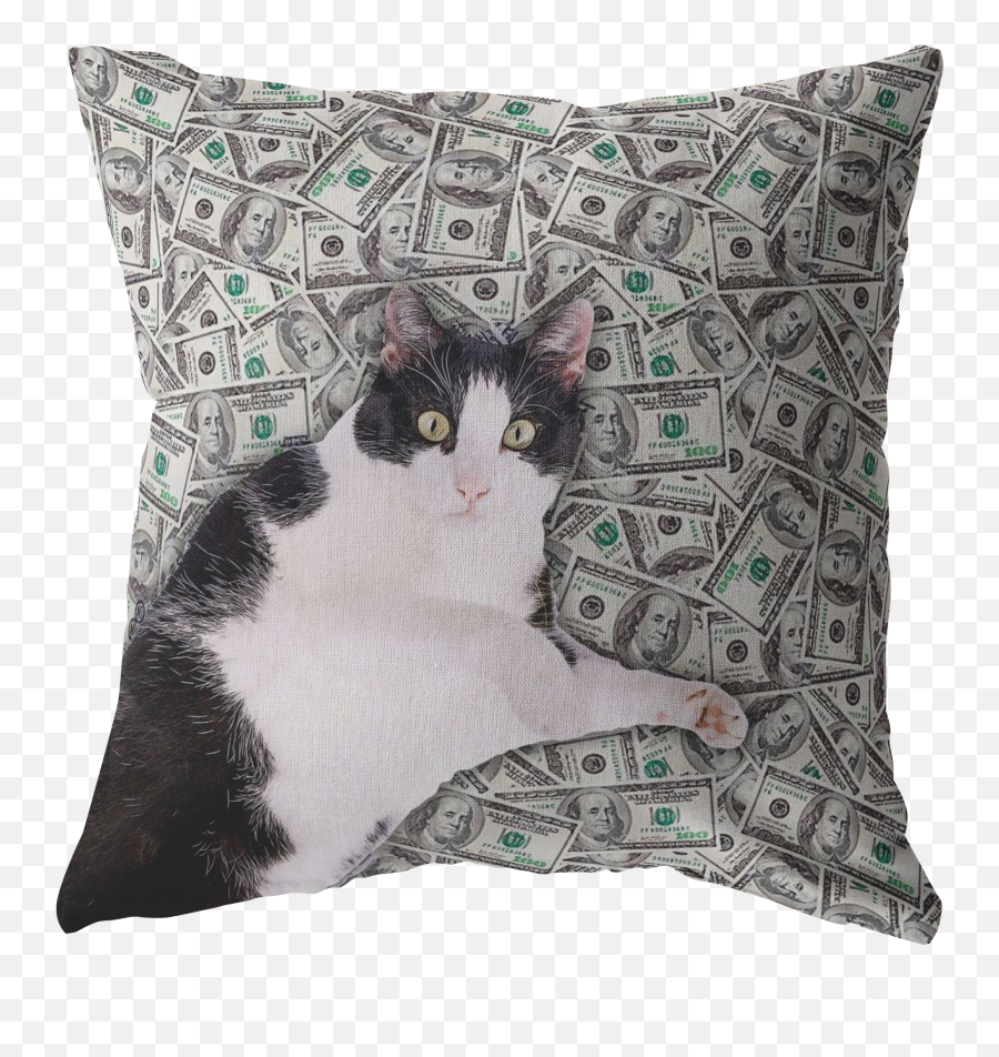 Cat Money Throw Pillow Meme Cuisine Funny Dorm Decor Emoji,Funny Cat Png
