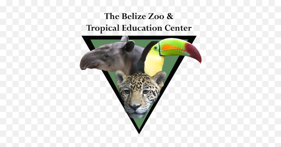 The Belize Zoo Traveling Tour Guide Emoji,Bronx Zoo Logo