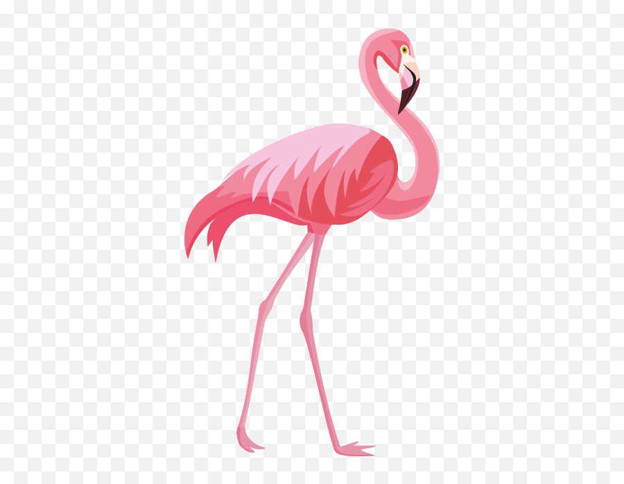 Itinerary Pink Flamingo - 368x617 Png Emoji,Itinerary Clipart