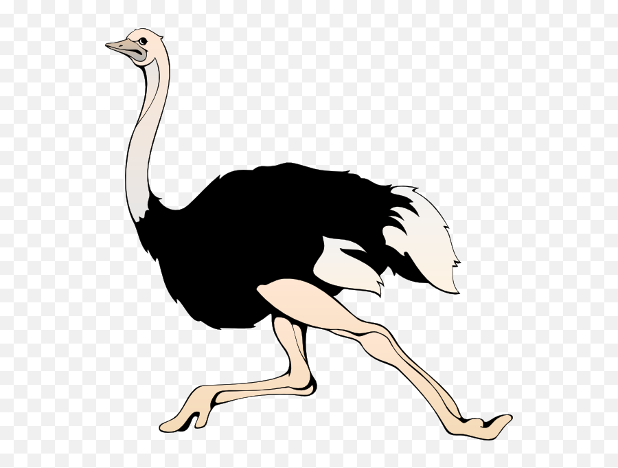 Ostrich Clipart - Ostrich Clip Art Emoji,Ostrich Clipart