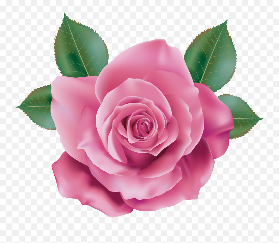 Download Free Png Pink Rose Transparent Png Clip Art - Pink Transparent Background Rose Png Emoji,Rose Transparent Background