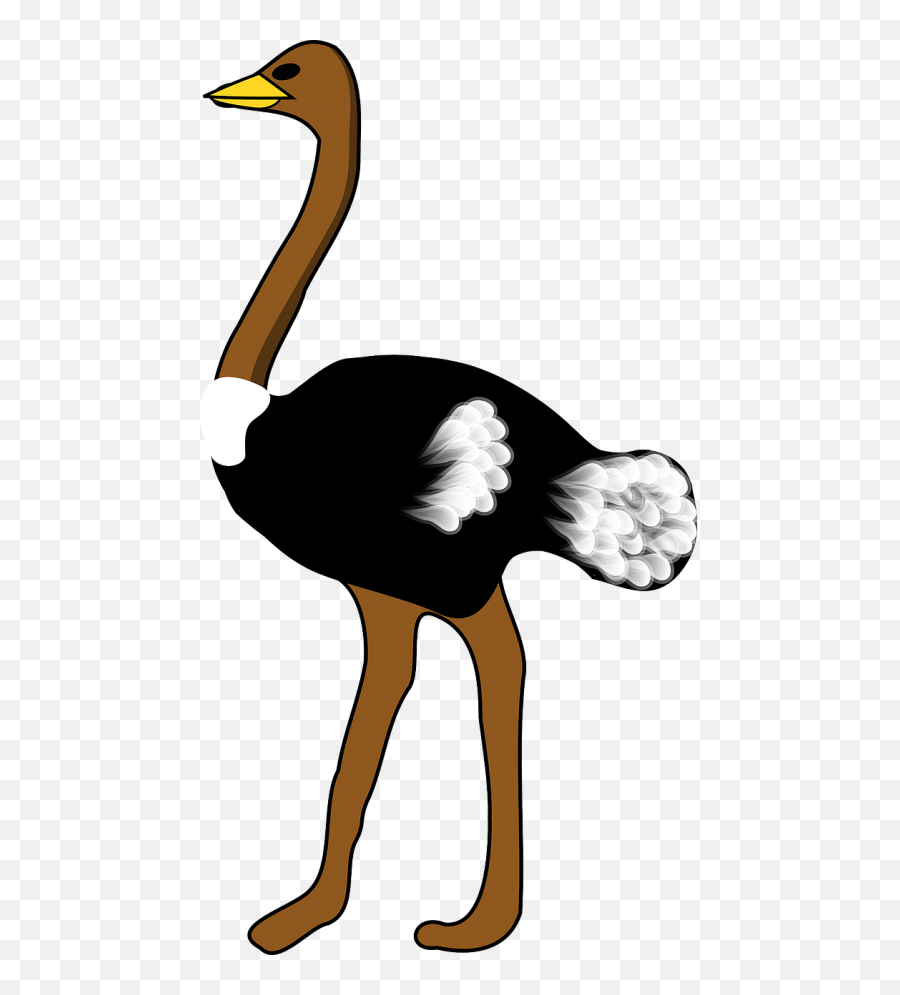 Free Ostrich - Ostrich Clip Art Emoji,Ostrich Clipart