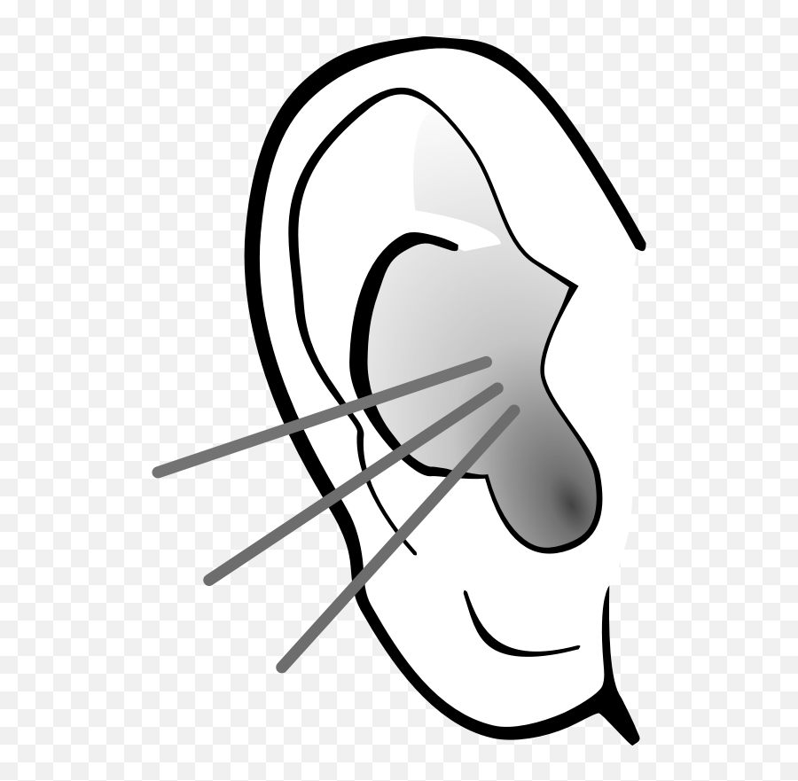 Listening Ear Clipart - Listening Ear Clipart 800x800 Outline Listening Ear Clipart Black And White Emoji,Ear Clipart