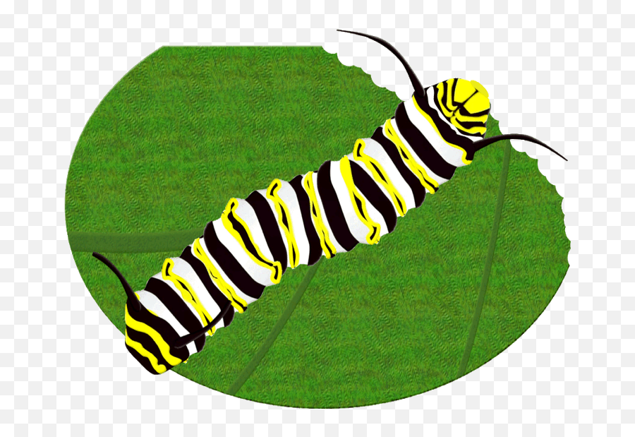 Monarch Butterfly Caterpillar Clip Art Emoji,Monarch Butterfly Clipart
