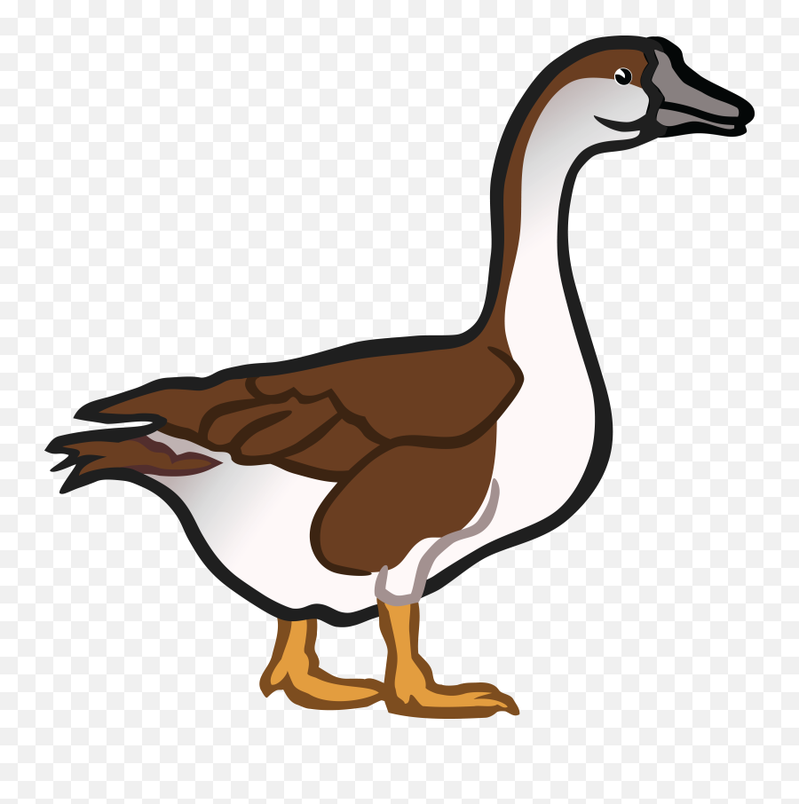 Poultry Flightless Bird Wildlife Png - Goose Clipart Emoji,Ducks Clipart