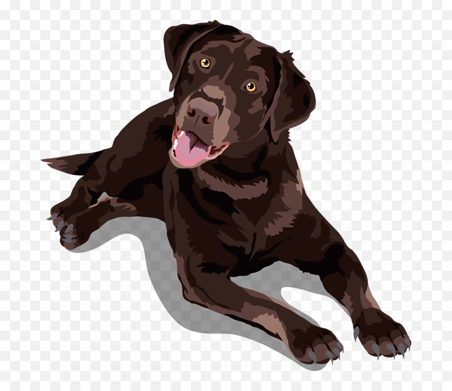 Chocolate Lab Transparent Png Clipart - Chocolate Labrador T Shirt Emoji,Labrador Clipart