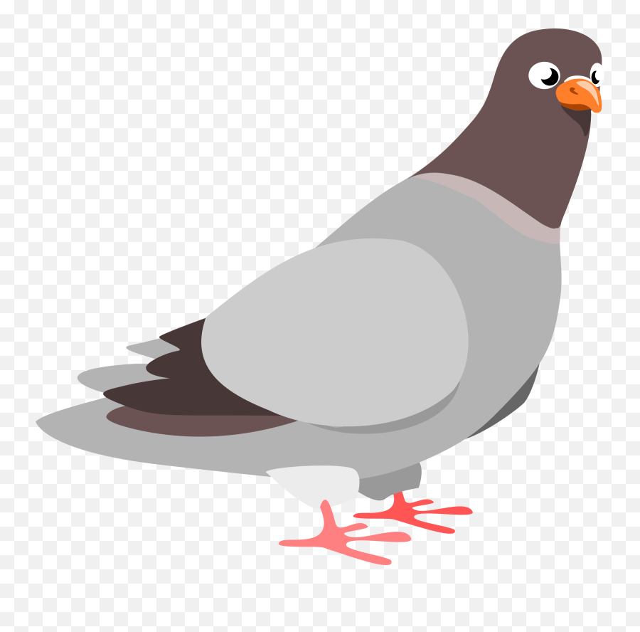 Birdpigeons And Dovesbeak Png Clipart - Royalty Free Svg Png Synonyms For Heat Emoji,Vocabulary Clipart