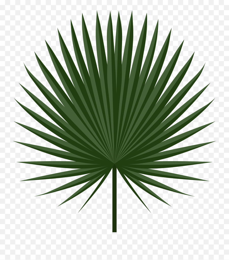 Free Palm Leaf Download Transparent Background A Palm Leaf - Tropical Leaves Png Leaf Vector Emoji,Palm Leaves Png