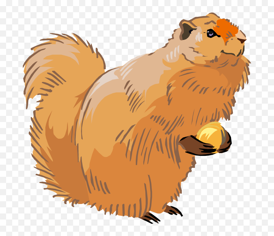 Download Free Squirrel Clipart - Clip Art Png Image With No Clip Art Emoji,Squirrel Clipart