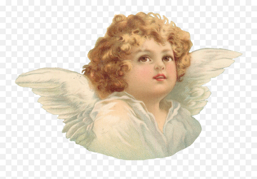 Cherub Angel - Transparent Background Cherub Png Emoji,Angel Png