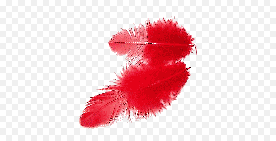 Red Feather Png Hd Quality Images Free Download Emoji,Red X Png Transparent