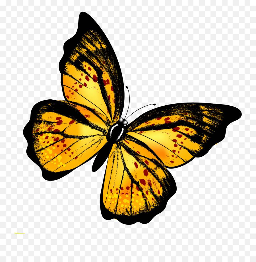 Monarch Butterfly Clipart Hindu God - Butterfly Png Emoji,Monarch Butterfly Clipart
