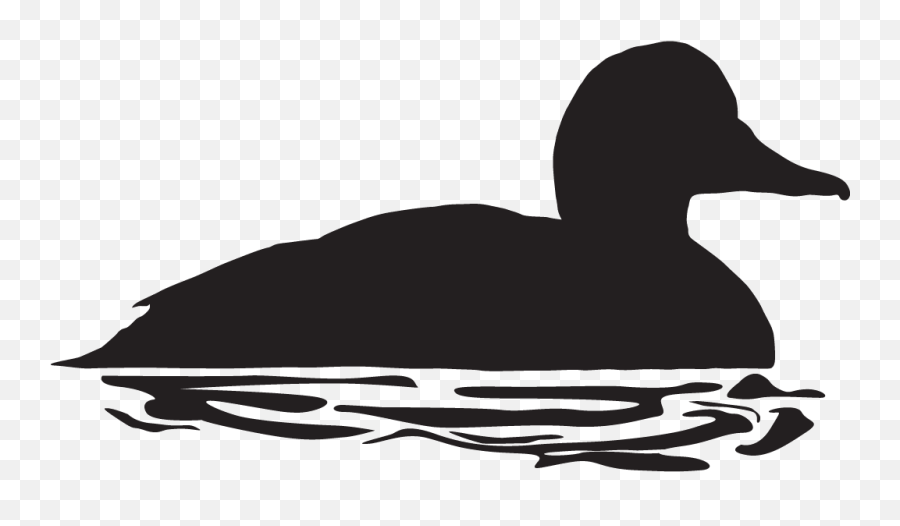 Library Of Dont Feed The Ducks Picture - Harlequin Duck Silhouette Emoji,Ducks Clipart