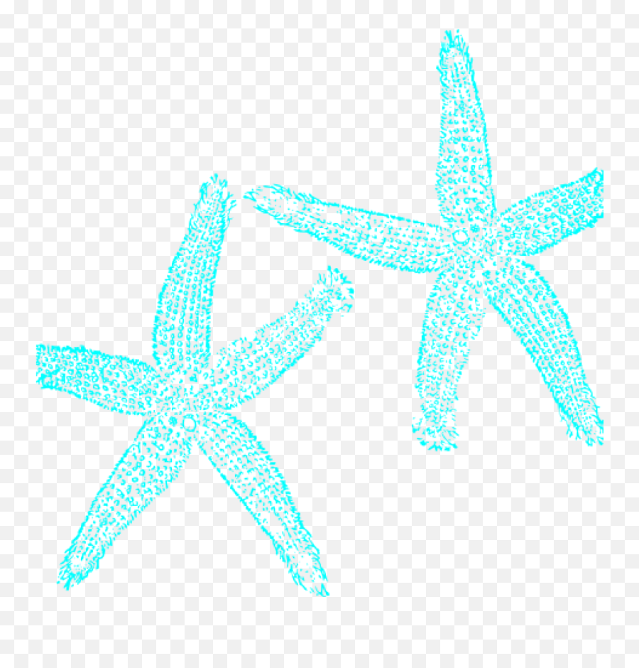 White Starfish - Jpg Black And White Download Hatenylo Com Starfish Emoji,Starfish Clipart Black And White