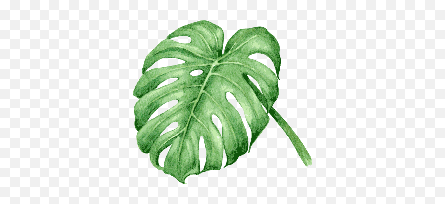 On Arrival - Tropical Leaves Vector Watercolour Full Size Emoji,Tropical Leaves Png