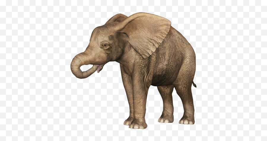 Baby Elephant Transparent Images Png Arts - Baby Elephant Transparent Emoji,Baby Elephant Clipart