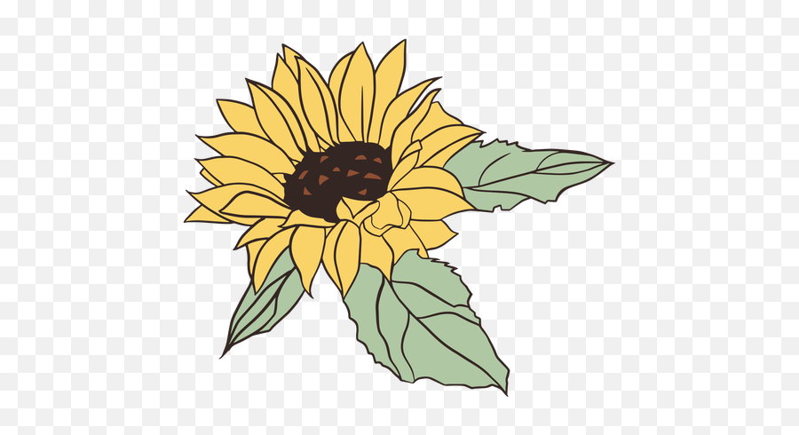 Pretty Hand Drawn Sunflower - Transparent Png U0026 Svg Vector File Drawn Sunflower Transparent Emoji,Sunflower Png