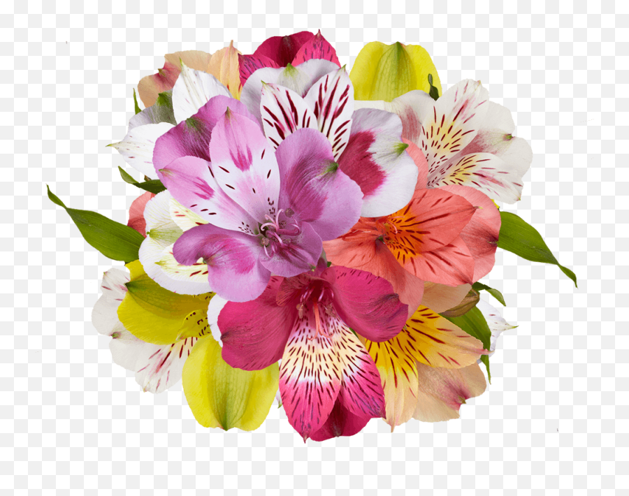 Order Your Choice Of Colors Of Fancy Alstroemeria Flowers Emoji,Flowers Bouquet Clipart
