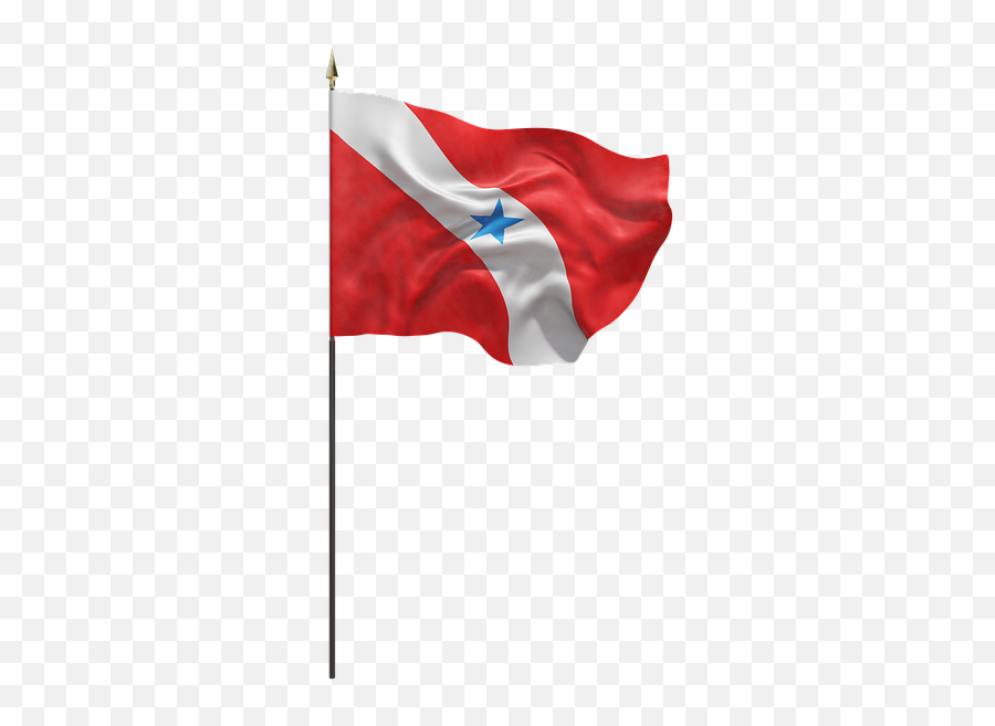 Free Photo National Symbol Flag Pará Flags Brazil State - Flagpole Emoji,Brazil Flag Png