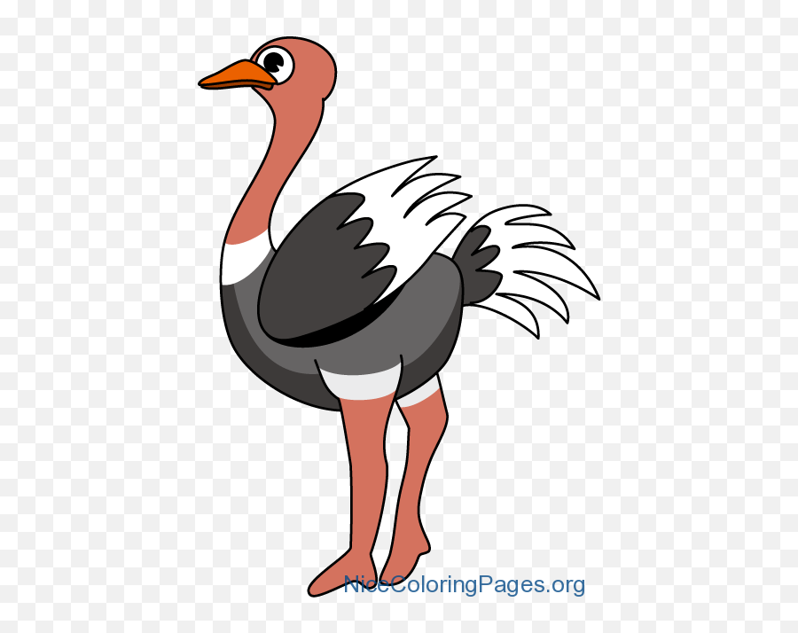 Ostrich Clipart - Ostrich Clipart Emoji,Ostrich Clipart