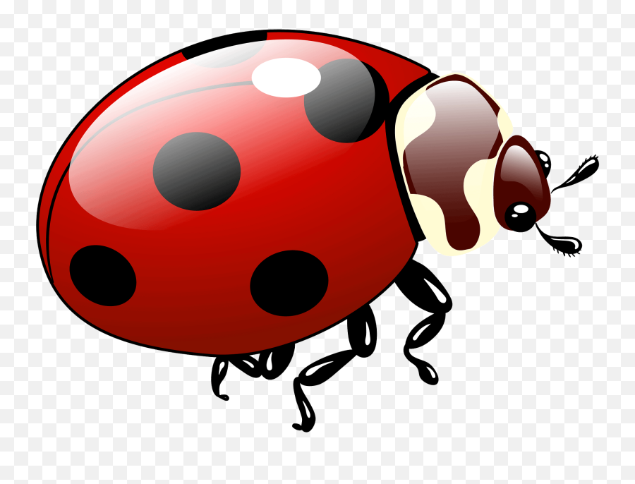 Ladybug Clipart Free Download Transparent Png Creazilla - Ladybug Clipart Emoji,Ladybug Clipart