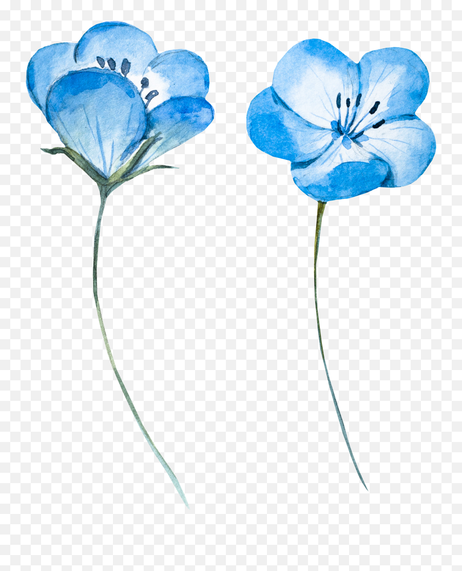 Download Blue Flower Light Watercolor - Blue Flower Watercolor Vector Emoji,Watercolor Flowers Png