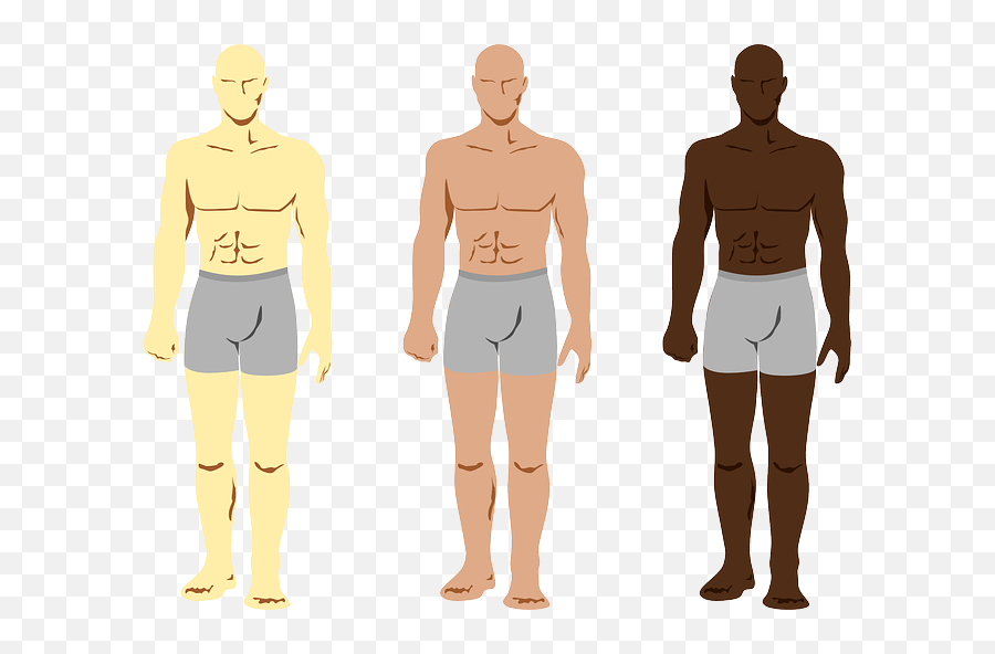 Free Adult Body Cliparts Download Free Clip Art Free Clip - Clip Art Man Body Emoji,Body Clipart
