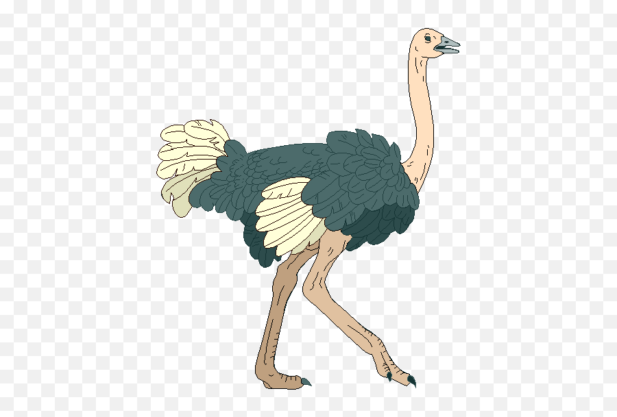 Free Ostrich Cliparts Download Free - Clipart Of A Ostrich Emoji,Ostrich Clipart