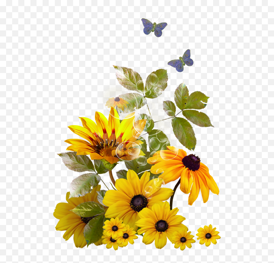 Flores Encontradas En La Web Sunflower Coloring Pages - Tuesday Good Morning Religious Emoji,Sunflower Border Clipart