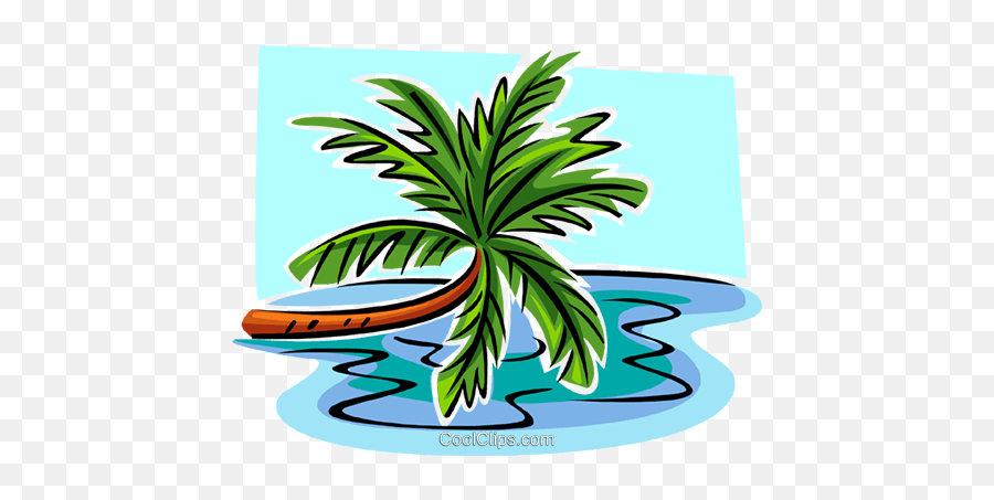 Download Hd Leaning Palm Tree Royalty Free Vector Clip Art Emoji,Tree Logo Vector