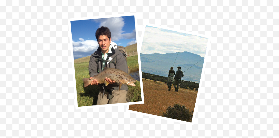 Patagonia Line - Pesca Con Mosca En Chile Austral Emoji,Patagonia Fish Logo