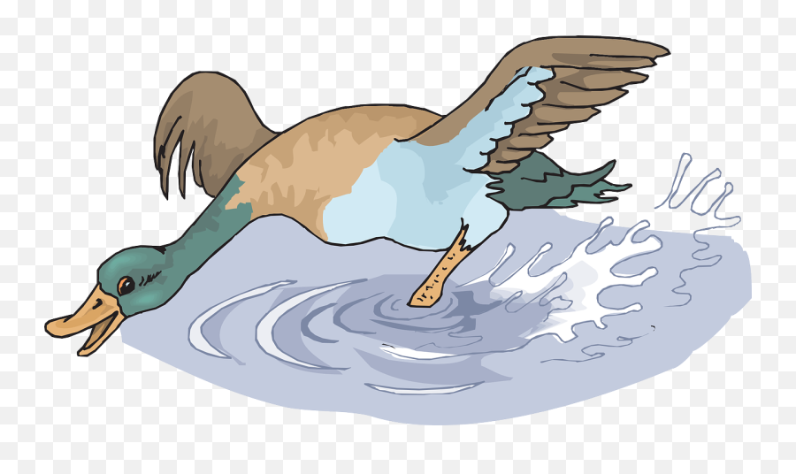 Download Free Png Water Splash Happy Free Vector Graphic - Bird Splashing In Water Drawing Emoji,Water Splash Clipart