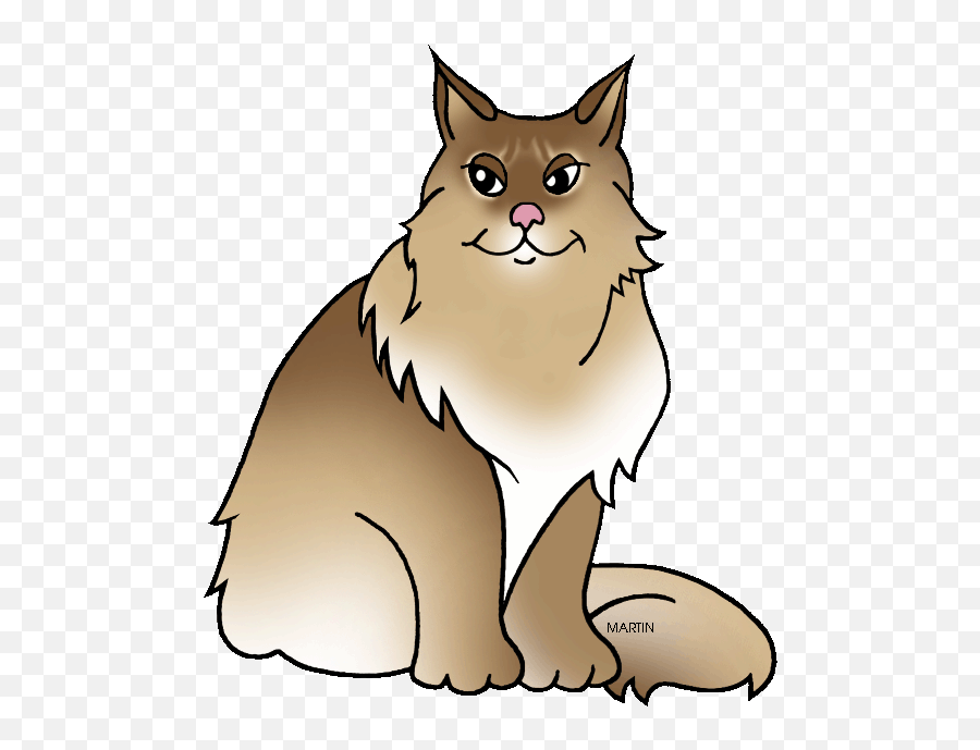 Phillip Martin Maine Coon Cat - Maine Coon Cat Art Png Emoji,Clipart - Cat