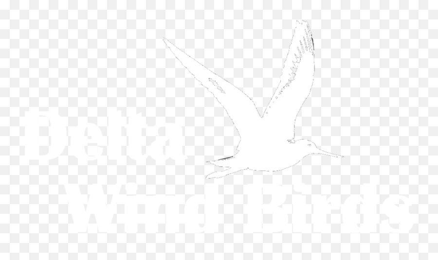 Delta Wind Birds Emoji,T Birds Logo