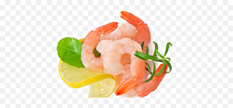 Shrimp Png Image - Shrimp Top View Transparent Background Emoji,Shrimp Png