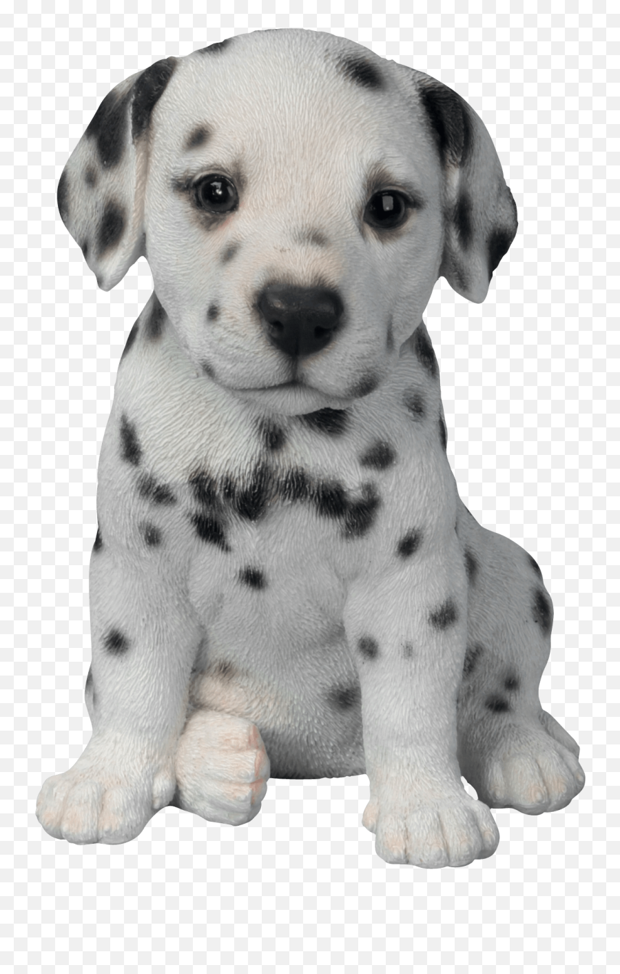Dalmatian Puppy Transparent Png - Puppy Pictures With No Background Emoji,Puppy Png
