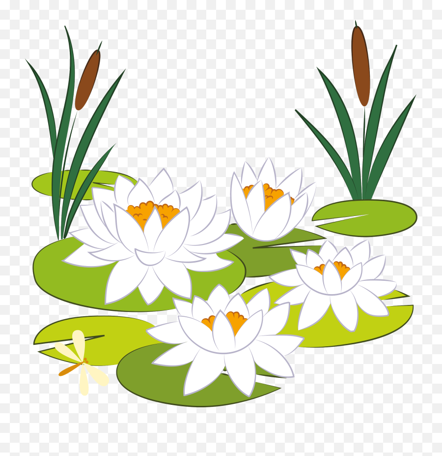 Lily Pad Clipart - Lily Pad Water Lily Clipart Emoji,Lily Pad Clipart