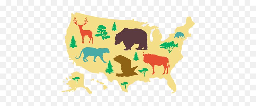 Usa Map Illustration - Transparent Png U0026 Svg Vector File Mapa De Animais Dos Estados Unidos Emoji,Usa Map Png