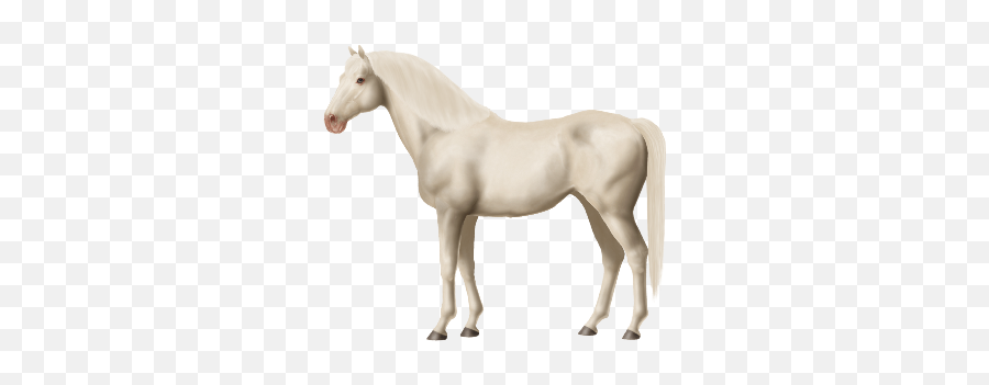 Looking For Dominant White Horses - White Horse Png Hd Emoji,Horses Png