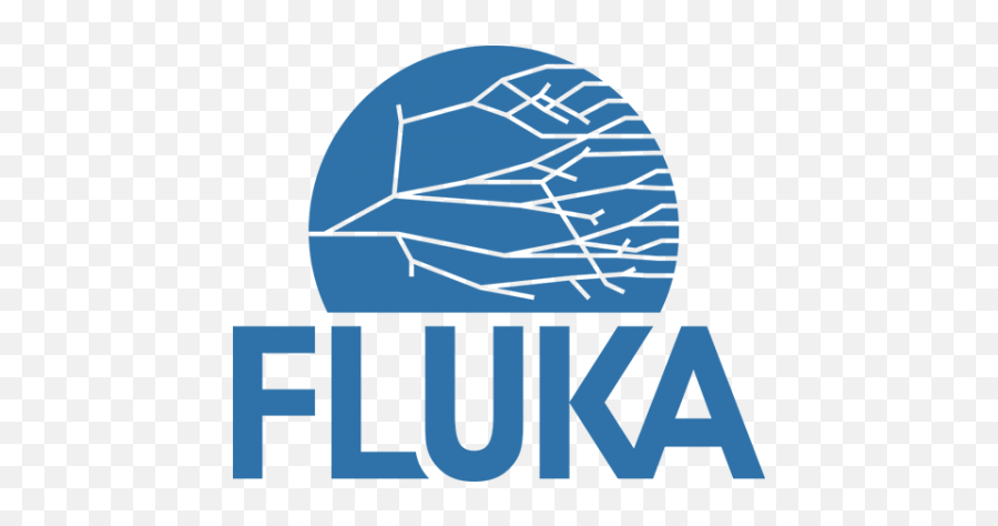 Simulations And Computing - Fluka Cern Emoji,Cern Logo