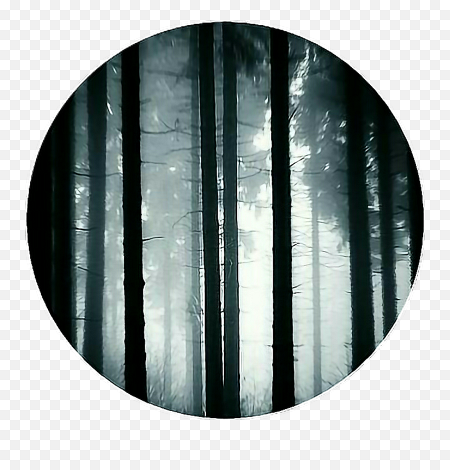 Download Circle Dark Forest Scary Icon Base Iconbackground Emoji,Forest Transparent Background