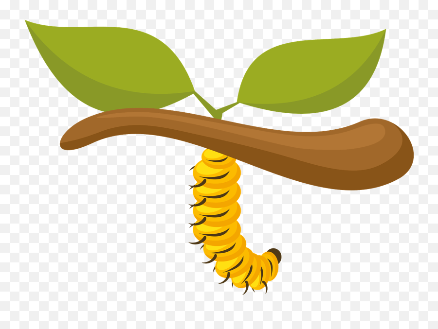 Caterpillar Clipart Transparent Background 9 - Clipart World Emoji,Sprout Clipart