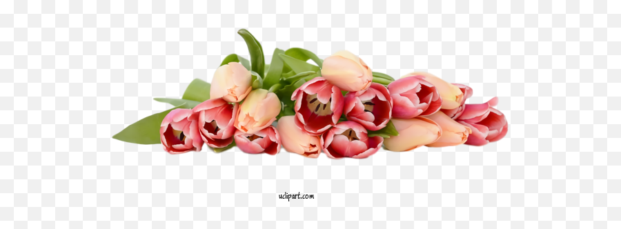 Flowers Flower Bouquet Pink For Tulip - Tulip Clipart Emoji,Flower Arrangement Clipart