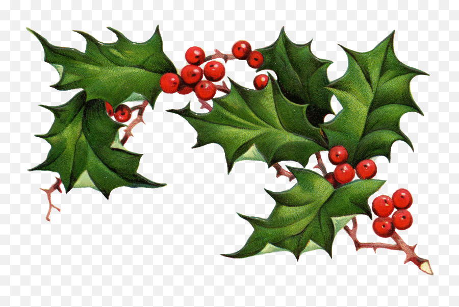 Christmas Holly Border Free Clipart - Free Holly Border Emoji,Holly Border Clipart