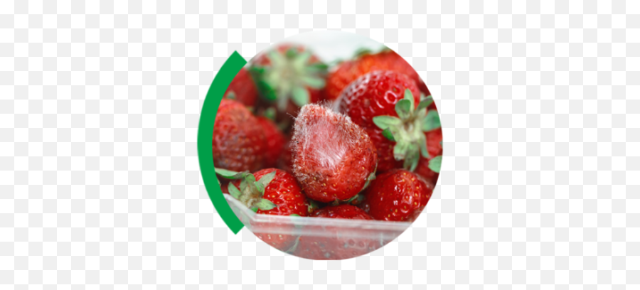 Food Wasted Is Productivity Lost Virginia Tech Cals Global - Moldy Strawberries Emoji,Wasted Png