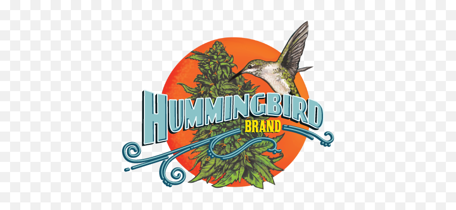 Hummingbird Brand Seeds - Hummingbird Brand Emoji,Hummingbird Logo