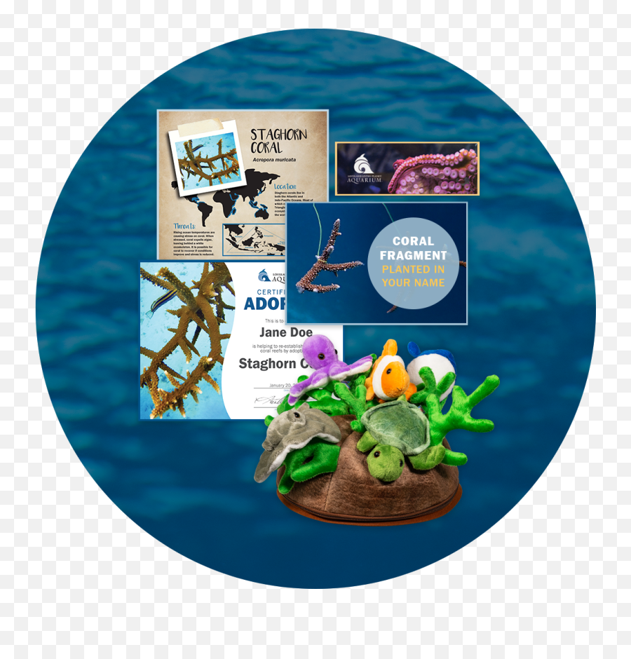 Animal Adoptions Loveland Living Planet Aquarium - Horizontal Emoji,Aquarium Of The Pacific Logo