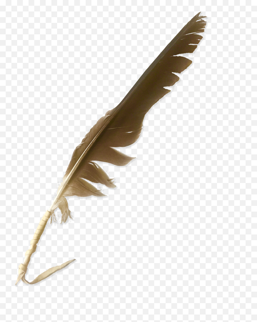 Nw - Animal Product Emoji,Eagle Feather Png