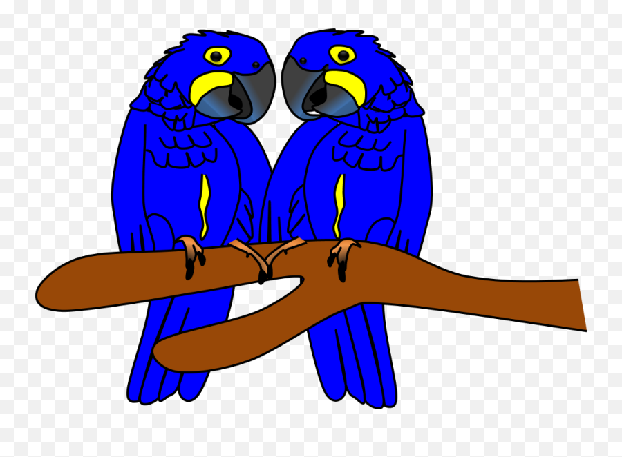 Parrot Clipart Zoo - Budgie Full Size Png Download Seekpng Png Arara Azul Emoji,Zoo Clipart