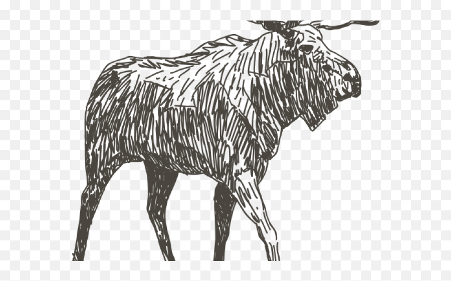 Moose Clipart Moose Hunting - Drawings Images Of Animals Animal Figure Emoji,Moose Clipart